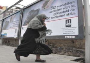 Büyükşehir'den Hayvan Hakları açılımı